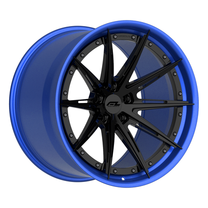19" FORGEDLITE DC16 2PC MODULAR WHEELS - 
